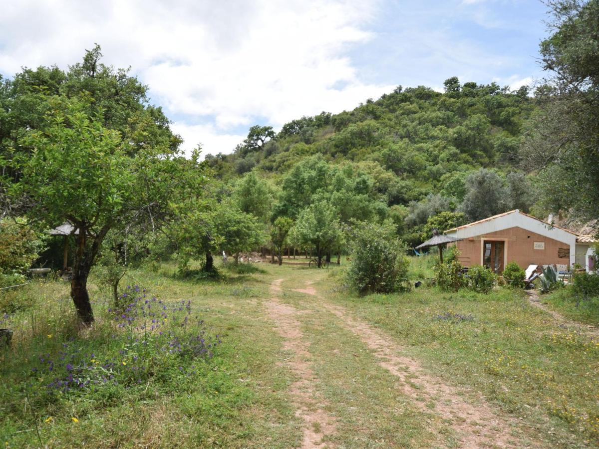 Serene Cottage In S O Lu S With Barbecue Troviscais Bagian luar foto